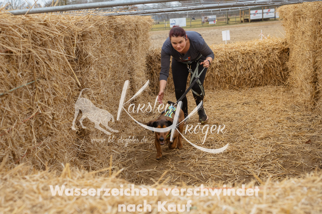 0850_ZZ95183 | kk-dogfotos