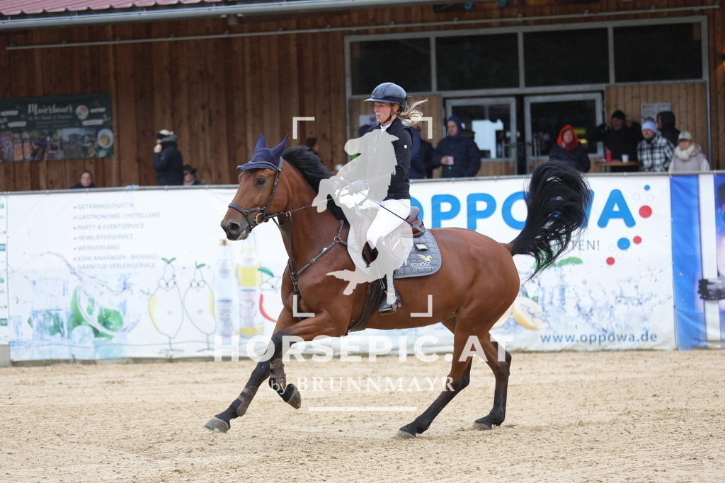 0P6A7324 | Willkommen bei Brunnmayr - Design & Fotografie – Ihrem Spezialisten für Reitturniere und Pferdeveranstaltungen in Oberösterreich, Salzburg und Bayern! Seit über 17 Jahren sind wir leidenschaftlich dabei.