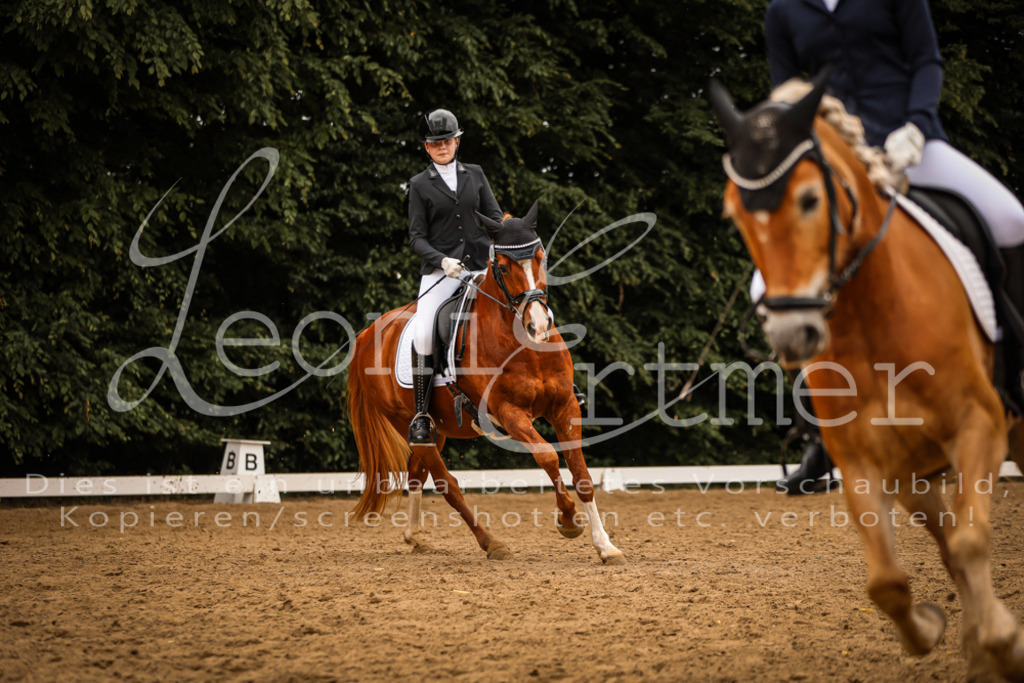 DoDrWB00186 | Leoni Ertmer Photography - Realisiert mit Pictrs.com