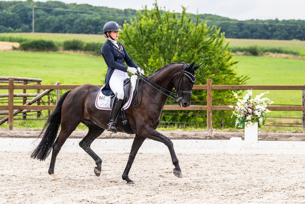 Luxembourg Dressage Championship 2025 - Senior League B | Luxembourg Dressage Championship 2025 - Maite Colling on Fashion Hype - Realisiert mit Pictrs.com