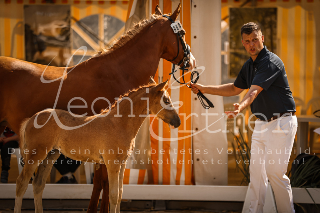 10.DoRP00168 | Leoni Ertmer Photography - Realisiert mit Pictrs.com