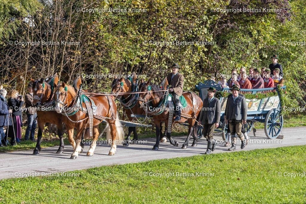 LBT24-349 | foto-bettina-krinner - Realisiert mit Pictrs.com