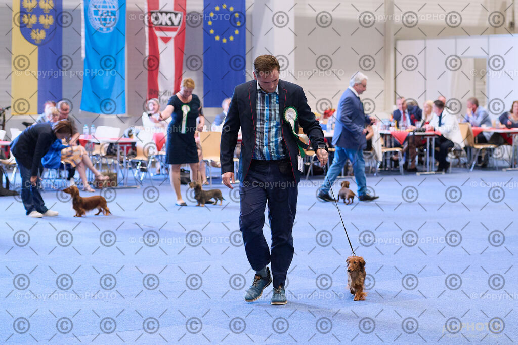 202406_ÖKV-IHA-Tulln24_DSC_3895 | proPHOTO - Realisiert mit Pictrs.com