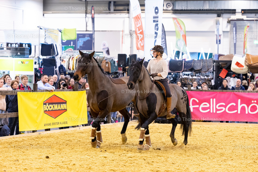 TH_Hello Horses_27349 | EQUITANA 2025 am 11.03.25 in Essen