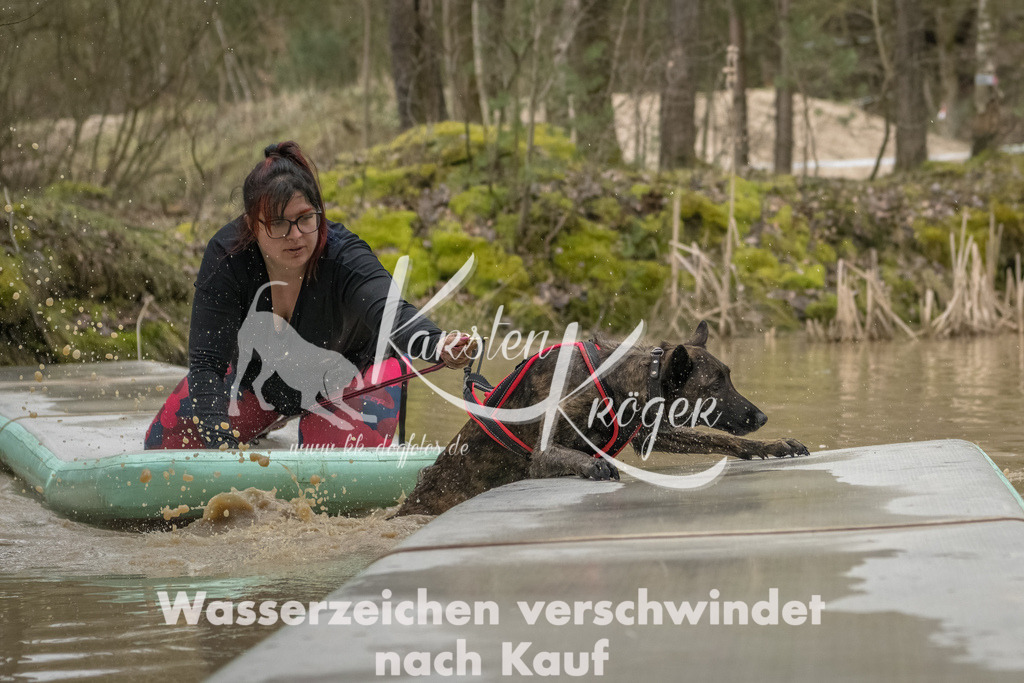 1039_ZZ93137-Bearbeitet | kk-dogfotos