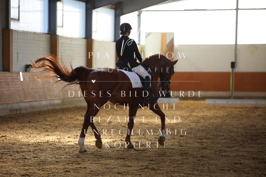 IMGT6404 | pl-fotografie