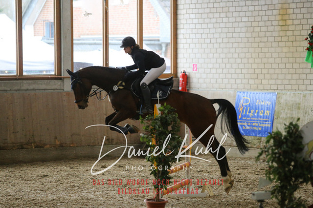 IMG_0686 | Turnierfotos kaufen im Webshop von Daniel Kuhl Photography – entdecke professionelle Reitsportfotos aus Turnieren & Events. Hochwertige Turnierbilder online bestellen & sichern. Jetzt Fotos von Reitsportturnieren kaufen!