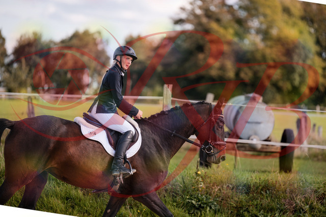 2026_10_03_Siefer-Hof_144005_Z81_10863163 | Professionelle Reitsport-, Turnier- und Eventfotografie von Robert Broda. Galerien mit ausgewählten und bearbeiteten Bildern direkt online ansehen und bestellen.