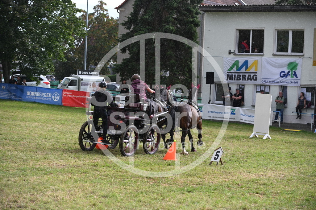 DSC_8771 | sattelsport - Realisiert mit Pictrs.com