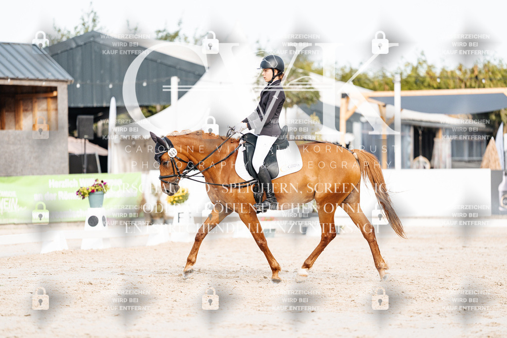 CK904595 | Turnierfotografie Pferdefotografie Trier Rheinland-Pfalz Pferdesport Reitsport Tierfotografie Sportfotografie Pferdevideo Pferdevideografie Equestrianvideography equestrianphotography  - Realisiert mit Pictrs.com