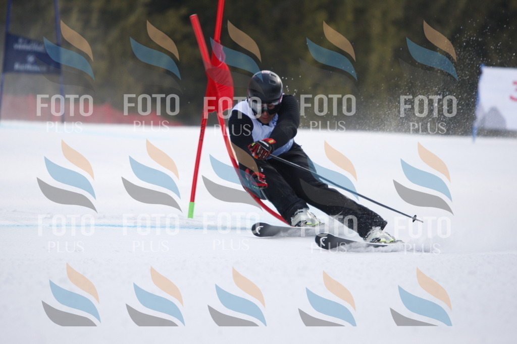 D8010 | holidayphoto