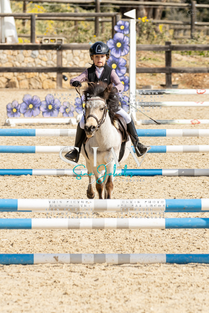 IMG_4437 | s-jay-photography - Realisiert mit Pictrs.com