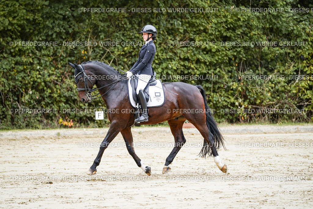 DSC09104 | Pferdegrafie