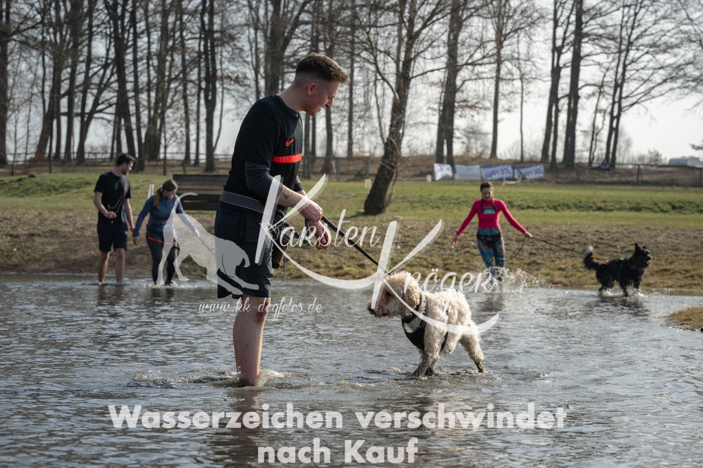 1216_ZZ98678 | kk-dogfotos