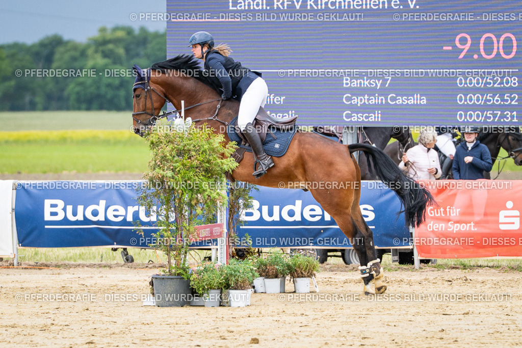 DSC03983 | Pferdegrafie