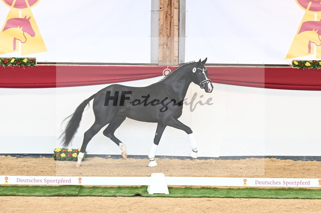 Kat.-Nr. 70 v. Totilas_Fischer_2241048 | hf-fotografie - Realisiert mit Pictrs.com