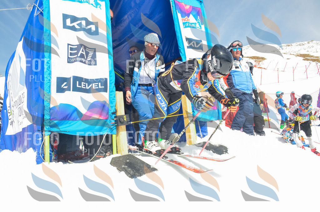 _ELE6740 | holidayphoto