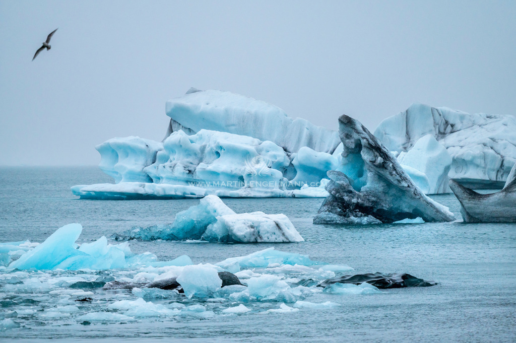 20210430-DSC_1516-fertig | martinengelmann - Realisiert mit Pictrs.com