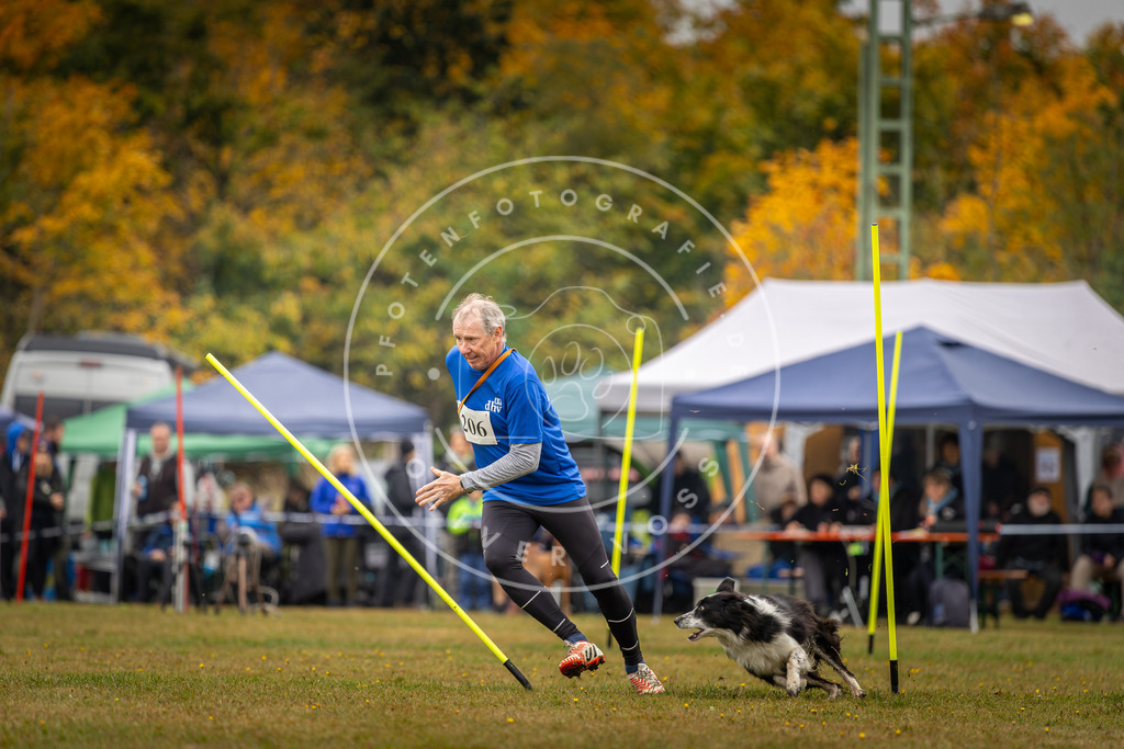 Pfotenfotografie_DV3A2140 | Hundefotografie, Tierfotograf, Pfotenfotografie, Fotoshooting Hund, Hunde Portrait, Hundesport, Hundeportraits, Heideshooting, Hunde, Sportfotograf, Hundefotograf, Turnierhundsport, THS,  - Realisiert mit Pictrs.com