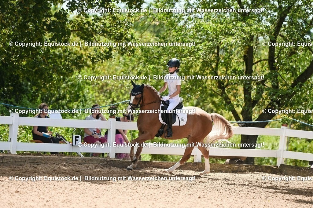 20230715_09_Dressur-WB_0277 | equistock