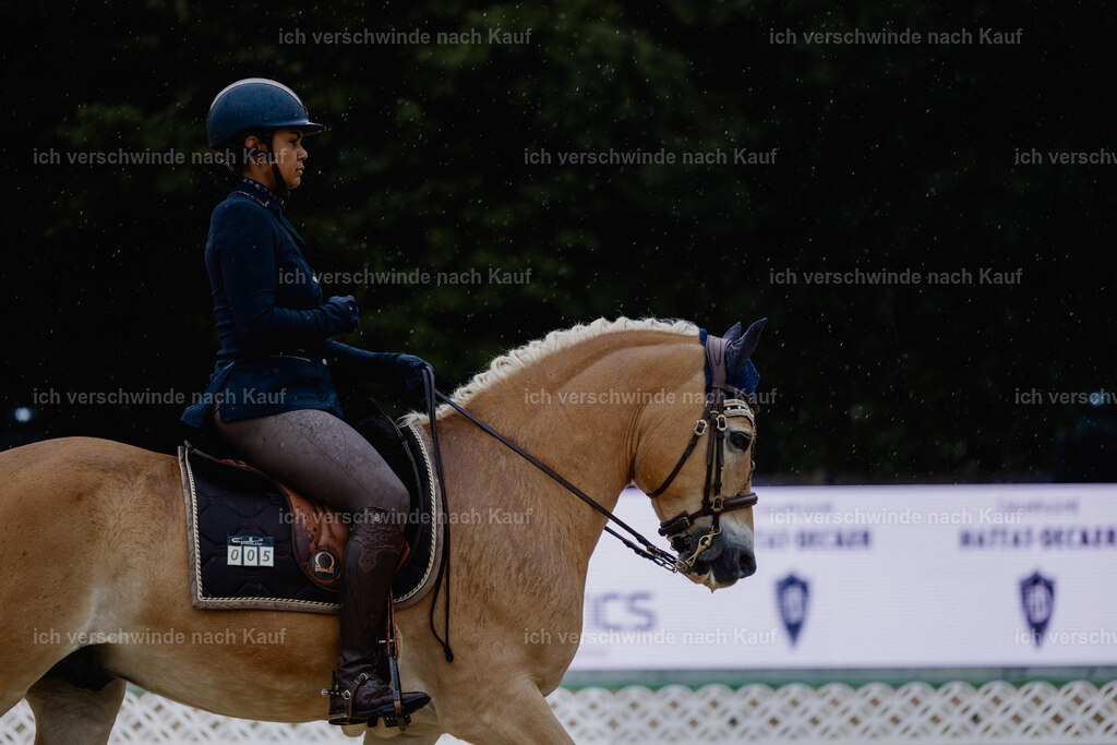 Tanesha5FHC2025-24825 | working equitationturnier fotograf videograf stoibphotography marixx film working equitation deutschland reitsport turnierfotografie eventfotografie equestrian events