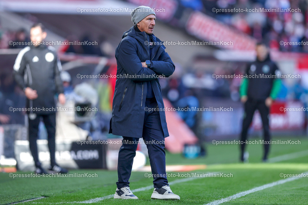1FC30112402118 | 30.11.2024, Fußball, 1. FC Köln - Hannover 96, 2. Fußball Bundesliga, RheinEnergieSTADION, Saison 2024 2025: Trainer Gerhard Struber (Cheftrainer 1.FC Köln) steht gestikulierend am SpielfeldrandDFB regulations prohibit any use of photographs as image sequences and or quasi-video.