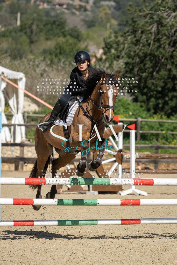 IMG_6434 | s-jay-photography - Realisiert mit Pictrs.com