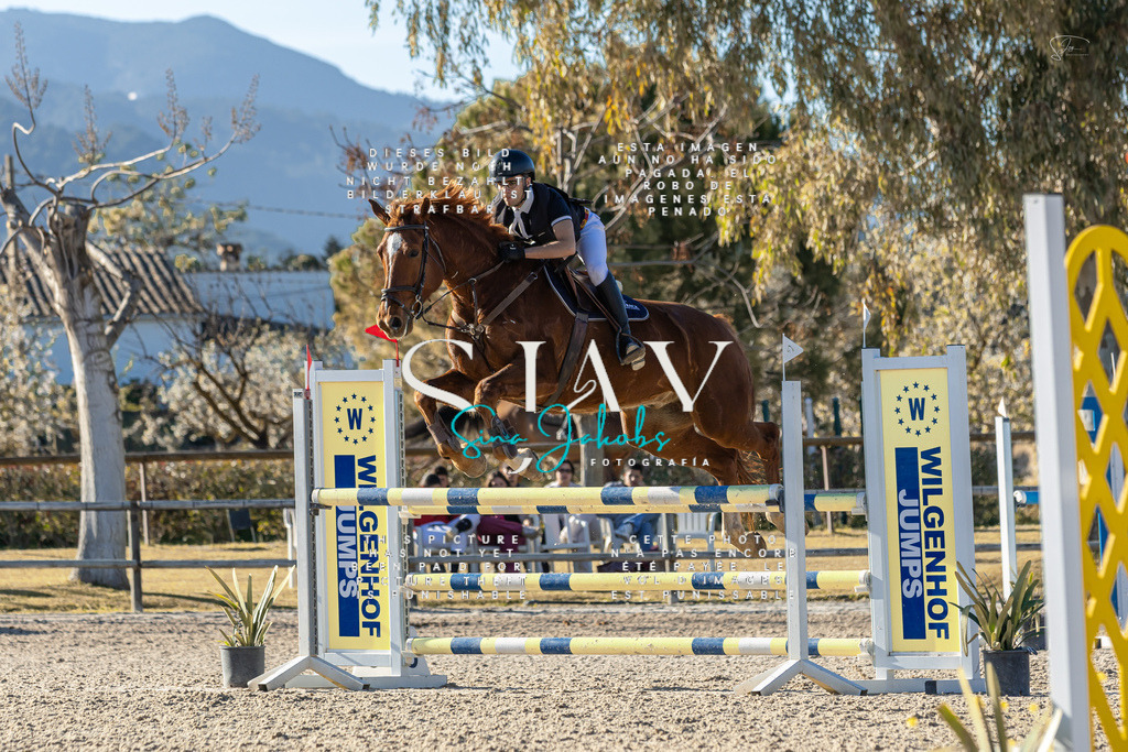 IMG_2099 | s-jay-photography - Realisiert mit Pictrs.com