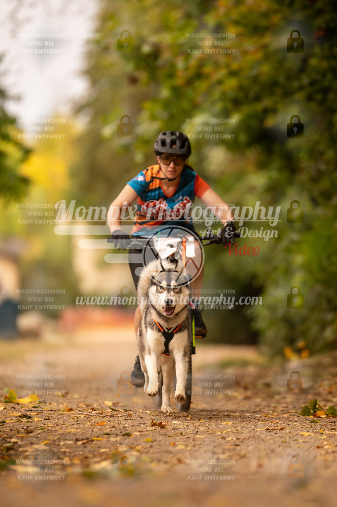 CDLBDB_14_10_2023_Samedi-136 | PayLife