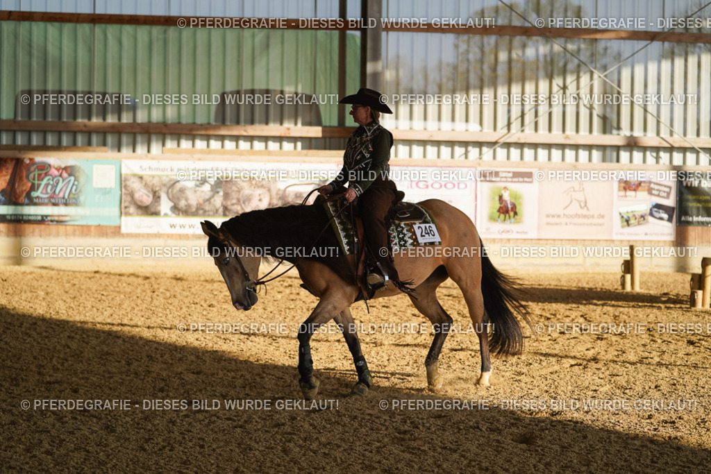 DSC08333 | Pferdegrafie