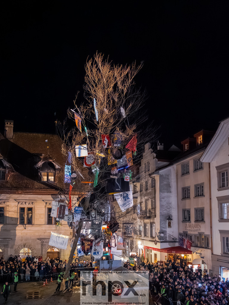 Guuggerbaum 2026 | Stimmungsvolle Fotokunst aus Luzern. Erlebe den Pilatus, den See und die Stadt Luzern in exklusiven Aufnahmen in der Fotogalerie & Shop. - Realisiert mit Pictrs.com
