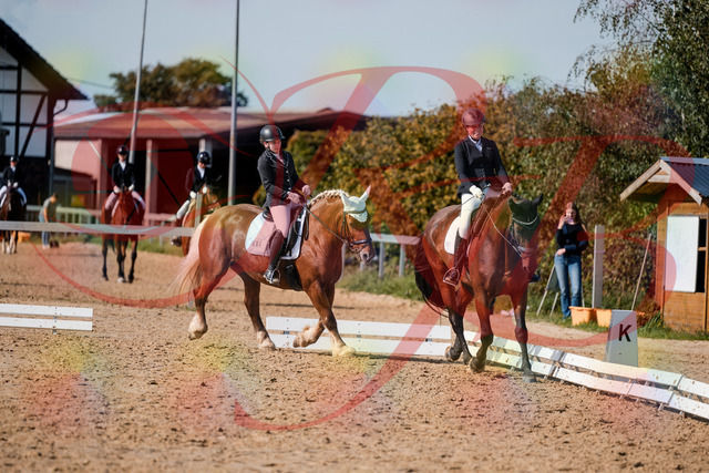2026_10_03_Siefer-Hof_130504_Z63_68389038 | Professionelle Reitsport-, Turnier- und Eventfotografie von Robert Broda. Galerien mit ausgewählten und bearbeiteten Bildern direkt online ansehen und bestellen.