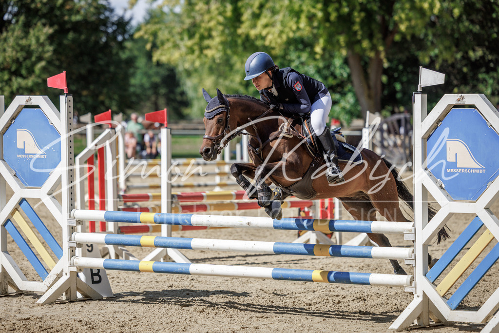 20260905-_3LI9512 | Tierfotografie Pferde, Hunde, Katzen, Haustiere.
Turnierfotografie Reitturniere, Reiten, Springreiten, Dressur in Hanau, dem Main-Kinzig-Kreis und dem Rhein-Main- Gebiet um Frankfurt