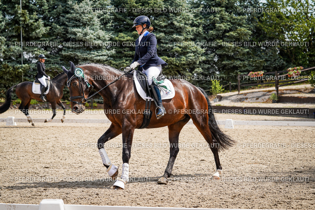 DSC09782 | Pferdegrafie