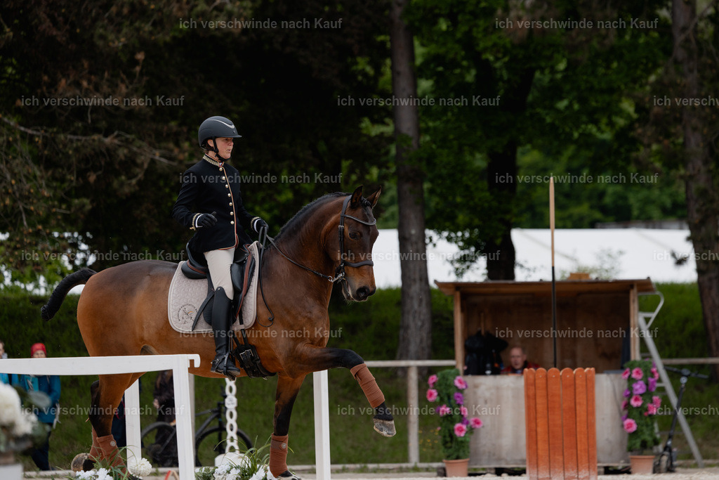 PI26_SP_StoibphotographyC2_C0823.jpg | working equitationturnier fotograf videograf stoibphotography marixx film working equitation deutschland reitsport turnierfotografie eventfotografie equestrian events