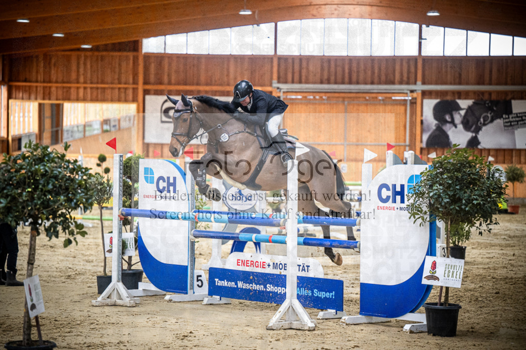 DOS_1192 | Entdecke hochwertige Reitturnierfotos von Foto Oger. Professionell, emotional und authentisch – jetzt Lieblingsmomente im Shop bestellen.Deutschlandweite Turnierfotografie. - Realisiert mit Pictrs.com