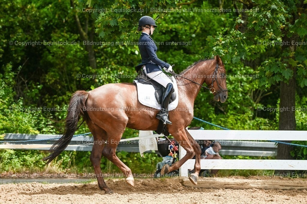 20230716_03_Dressurprfg. Kl.L - Tr._0411 | equistock