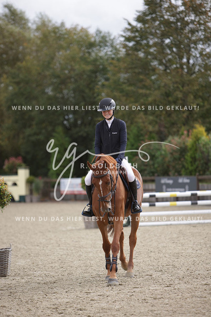 1J2A2451Pheline Ahlmann_ Belloumi_ Kn046_ Havekost | Foto- und Videografie für alles rund ums Pferd. Hochwertige Bilder und Videos vom Spring- und Dressurreiten, Voltigieren & mehr. Jetzt aktuelle Veranstaltungen und Preise im Shop ansehen. - Realisiert mit Pictrs.com