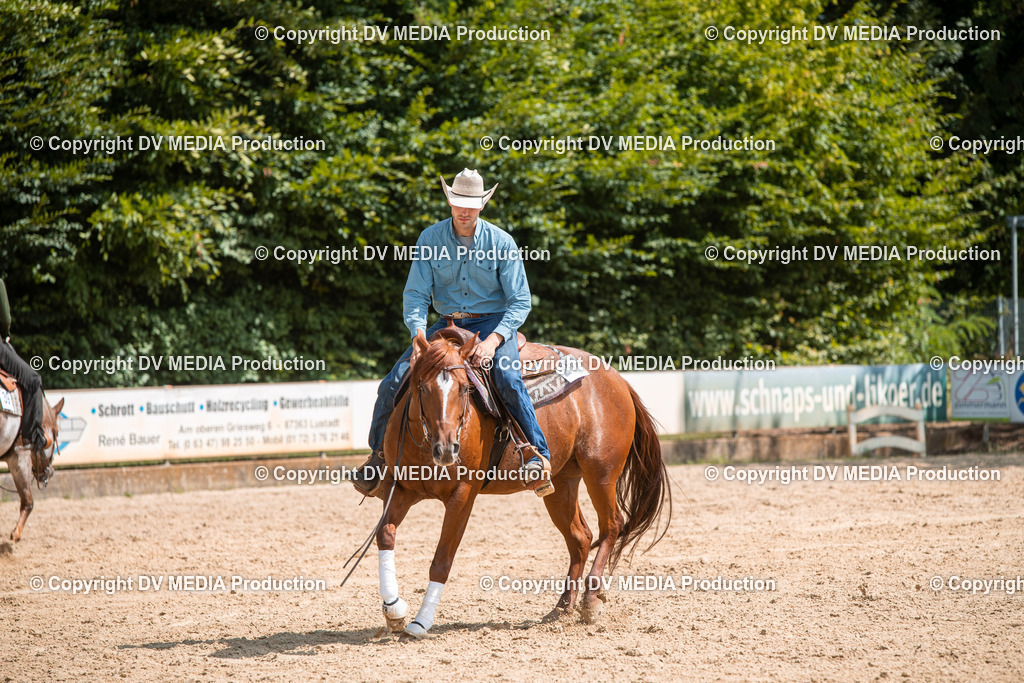 ZS3_9544 | dv-media-shop - Realisiert mit Pictrs.com