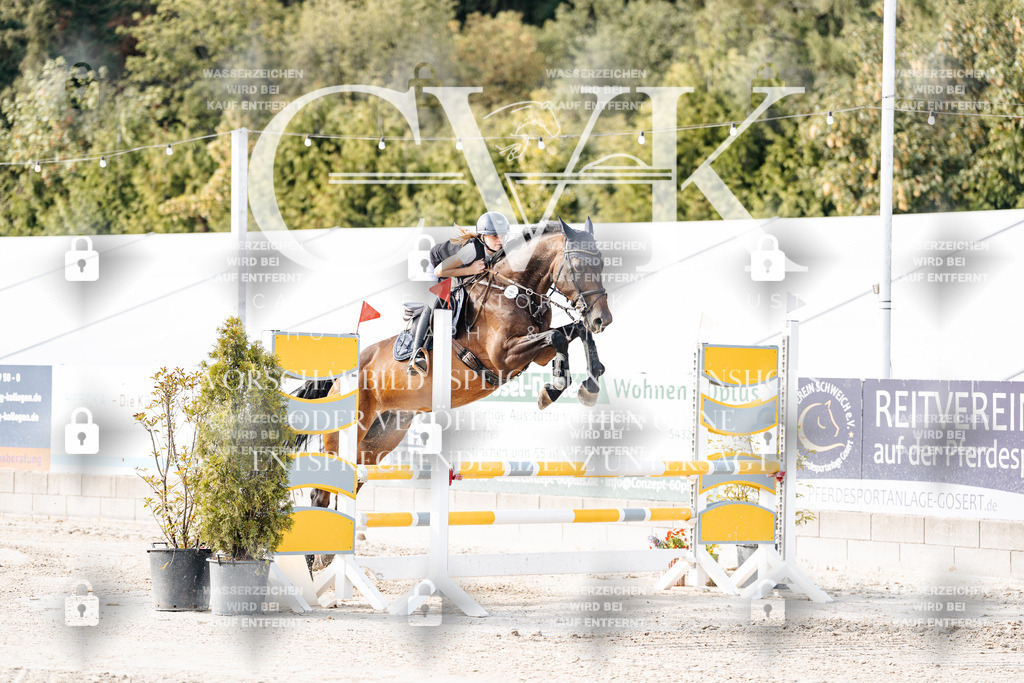 CK906182 | Turnierfotografie Pferdefotografie Trier Rheinland-Pfalz Pferdesport Reitsport Tierfotografie Sportfotografie Pferdevideo Pferdevideografie Equestrianvideography equestrianphotography  - Realisiert mit Pictrs.com
