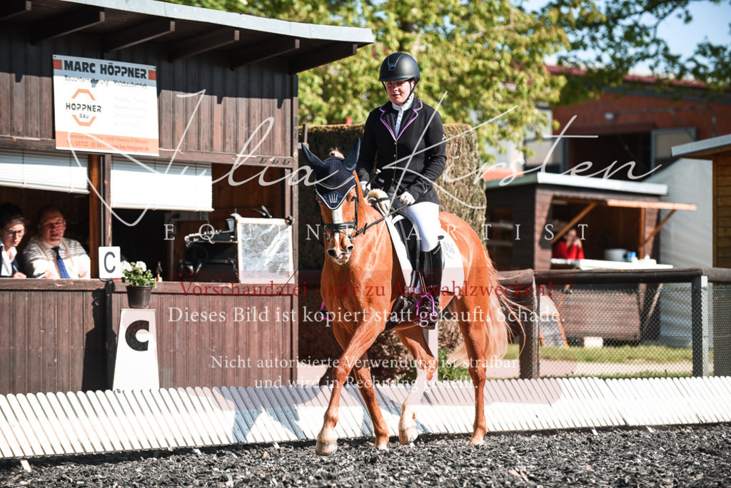 DSC_8426 | Pferde- und Turnierfotografie in Westsachsen. Pferdeportraits, Auftragszeichnungen und intuitive Kunst.