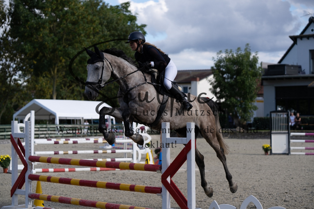 A7V07808 | Turnier/Reitfotograf