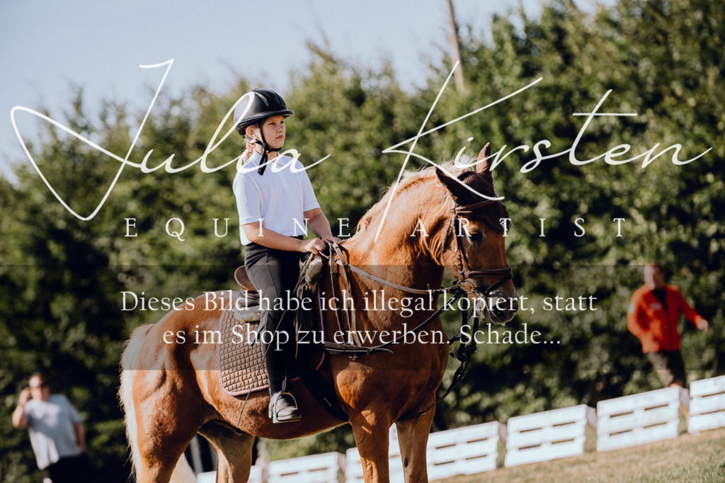 DSC_7007 | Pferde- und Turnierfotografie in Westsachsen. Pferdeportraits, Auftragszeichnungen und intuitive Kunst.