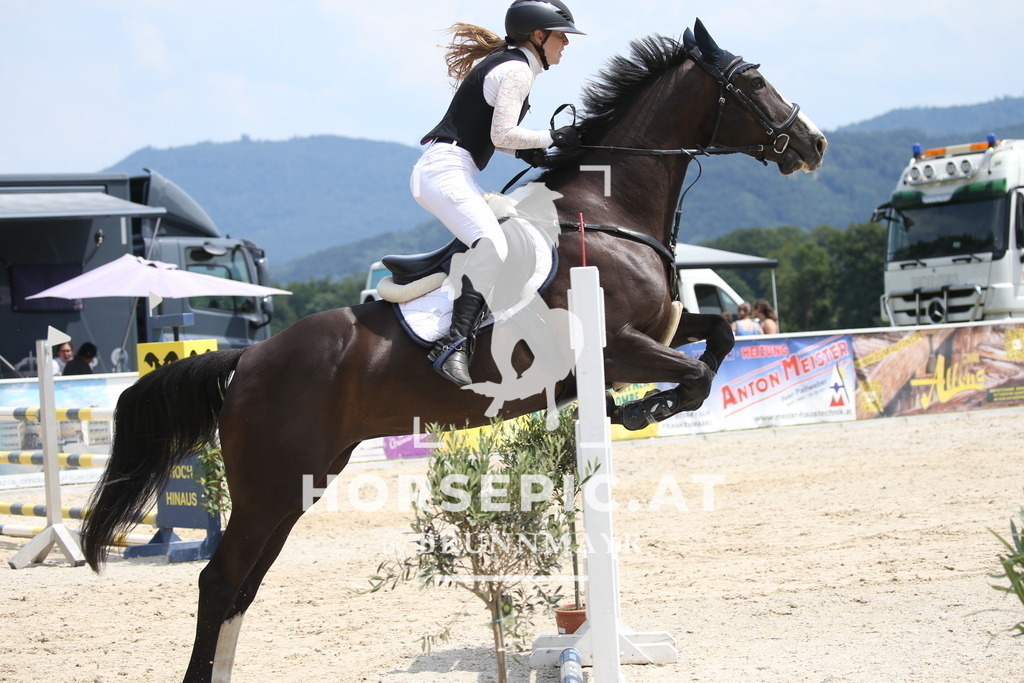 DL2Q2477 | Willkommen bei Brunnmayr - Design & Fotografie – Ihrem Spezialisten für Reitturniere und Pferdeveranstaltungen in Oberösterreich, Salzburg und Bayern! Seit über 17 Jahren sind wir leidenschaftlich dabei.