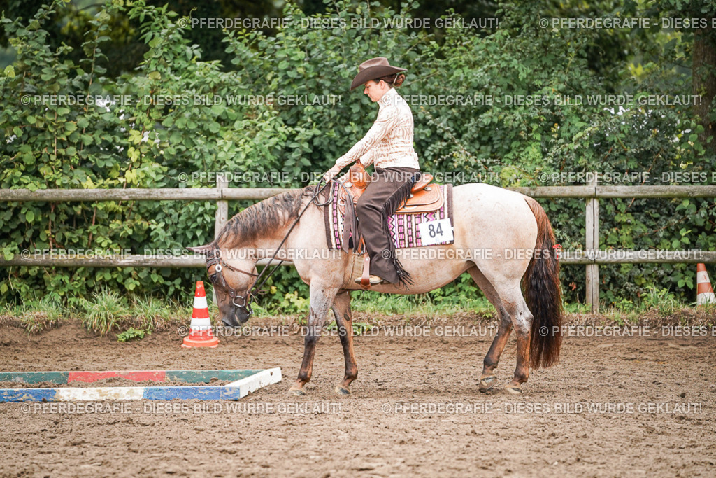 DSC03070 | Pferdegrafie