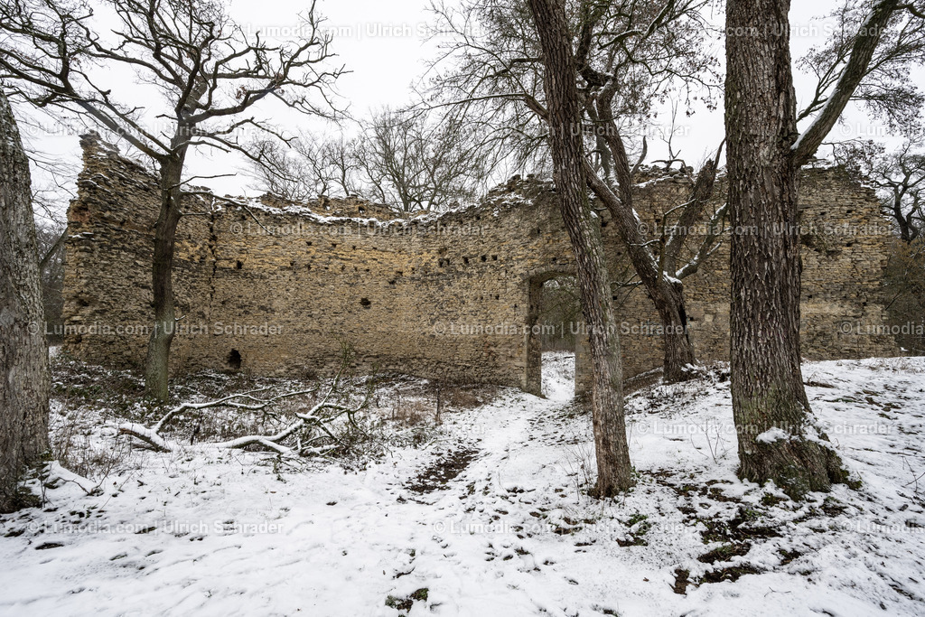 10049-12695 - Domburg im Hakel | Stockfoto und Bilderpool mit Bildmaterial aus Deutschland, dem Harz, Halberstadt, Quedlinburg, Wernigerode und weltweit. Qualitativ hochwertige und professionelle Fotos anschauen und kaufen. - Realisiert mit Pictrs.com