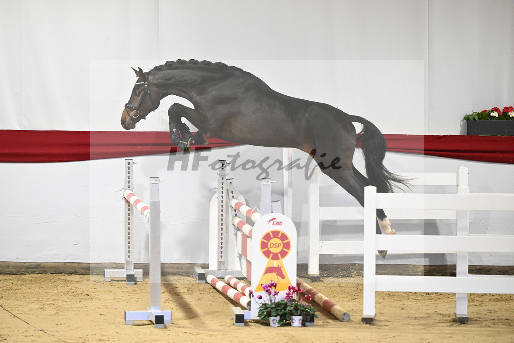 Kat-Nr. 32 v. Uno I_Koegler_63220878 | hf-fotografie - Realisiert mit Pictrs.com