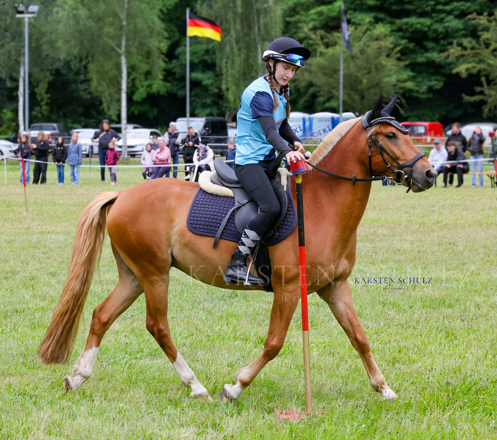 1B3A0329 | Reitsport Reiten