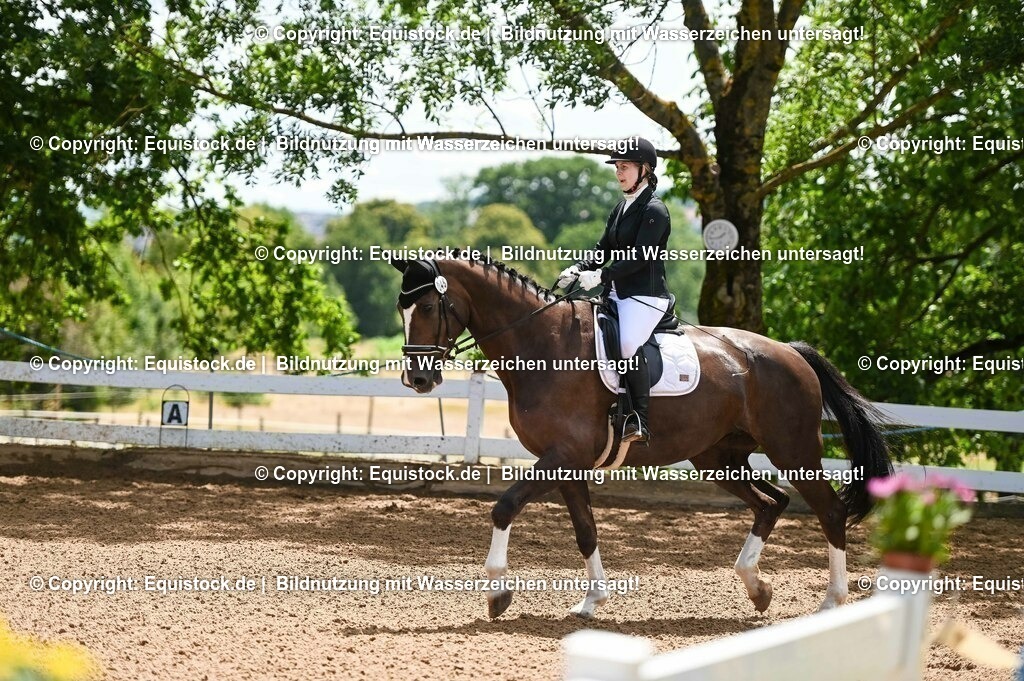 20230716_03_Dressurprfg. Kl.L - Tr._0172 | equistock