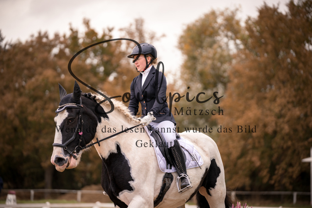 A7V05395 | Pferdefotograf